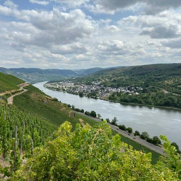 Scenic river valley with vineyards, a winding road, and a small town under a cloudy sky.