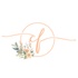 Currituck Flowers