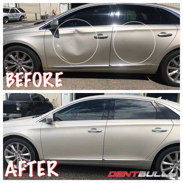 Deer damage, The Dent Bully Paintless Dent Repair, Insurance 