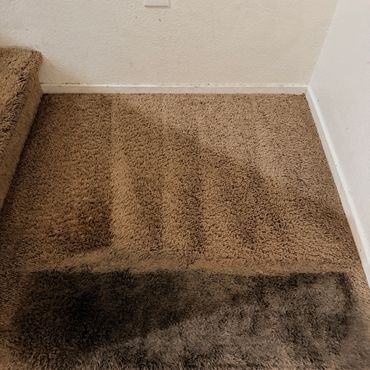 Las Vegas Carpet Cleaning