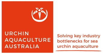 Solving key industry bottlenecks for sea urchin aquaculture