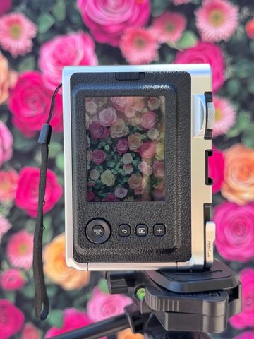 Digital camera screen reflecting pink and white roses with a floral background.