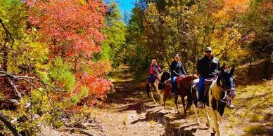 High Mountain Adventure Trail Ride