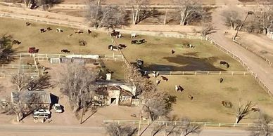 Horse Corrals and horse boarding
