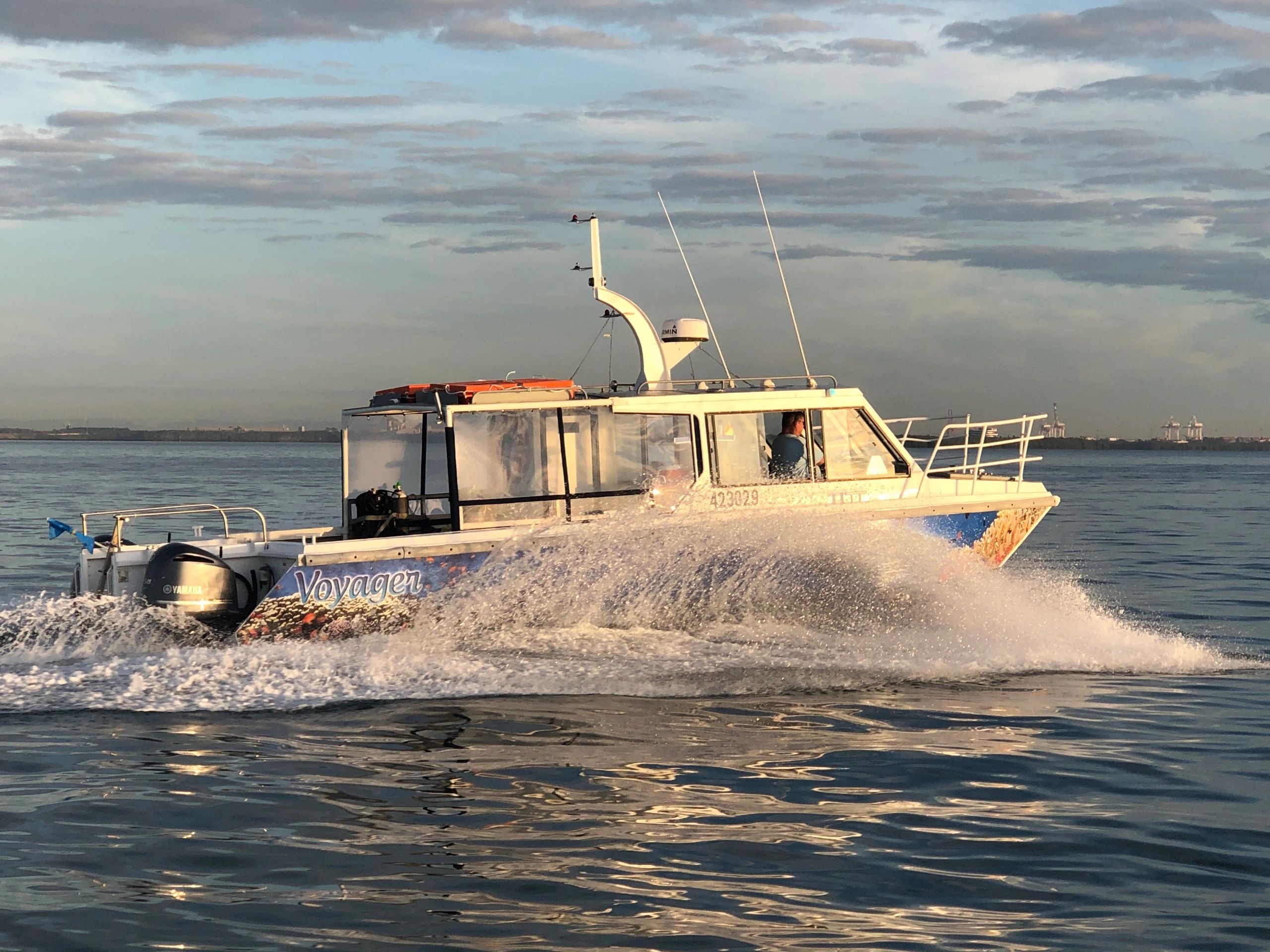 Scuba Diving Brisbane Scuba