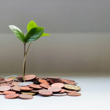 Saving money and growing something new