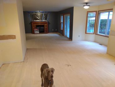 A dog stands in an empty room with bare floors and a covered fireplace.