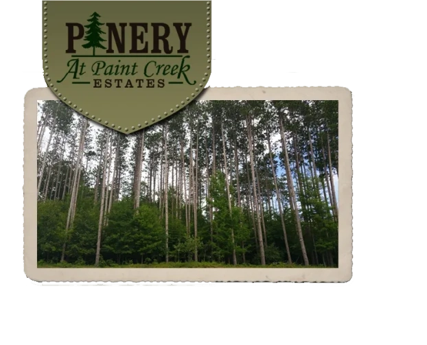 Pinery At Paint Creek Estates