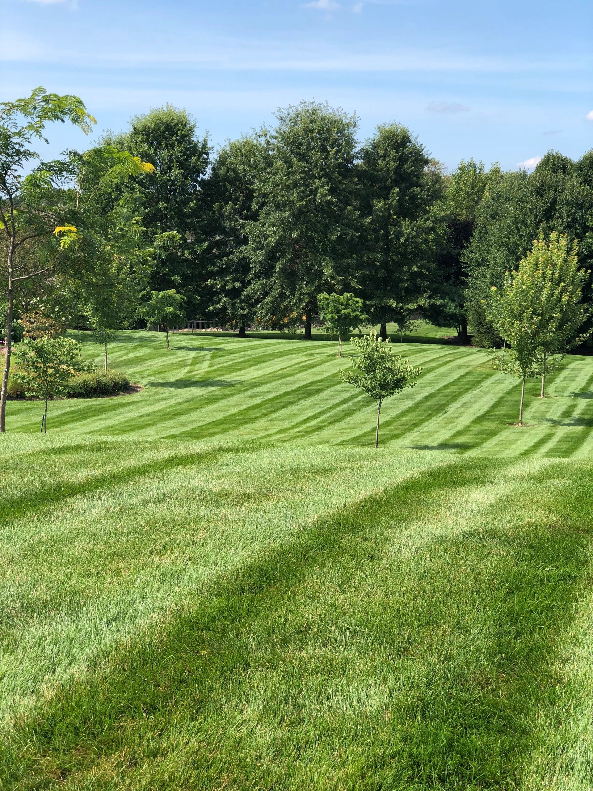 turf-tailors-lawn-care-services-in-north-canton-ohio