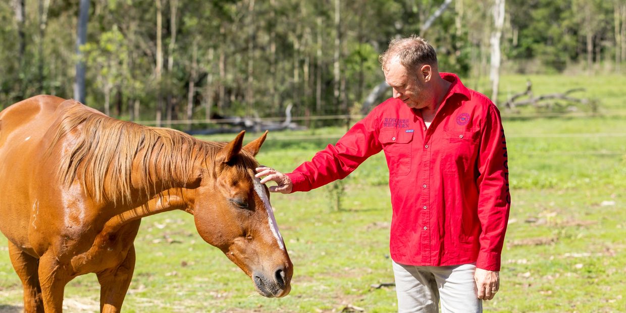 Equine Therapy Pegasus Holistic Healing