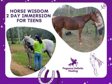 Teen 2 day horse widsom immersion Pegasus Holistic Healing