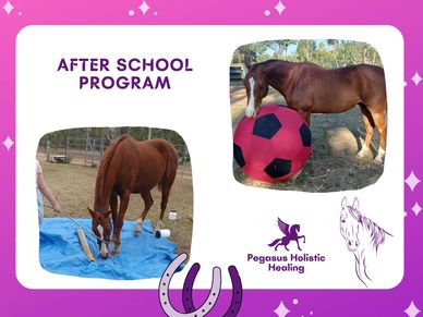 After School Kids Program Pegasus Holistic Healing