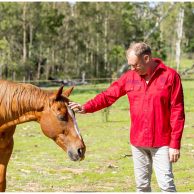 Equine assisted psychotherapy