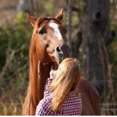 Pegasus Holistic Healign - Equine Assisted Therapy