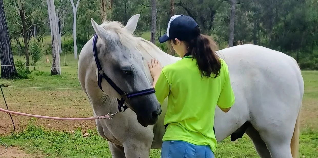 Equine therapy Pegasus Holistic Healing