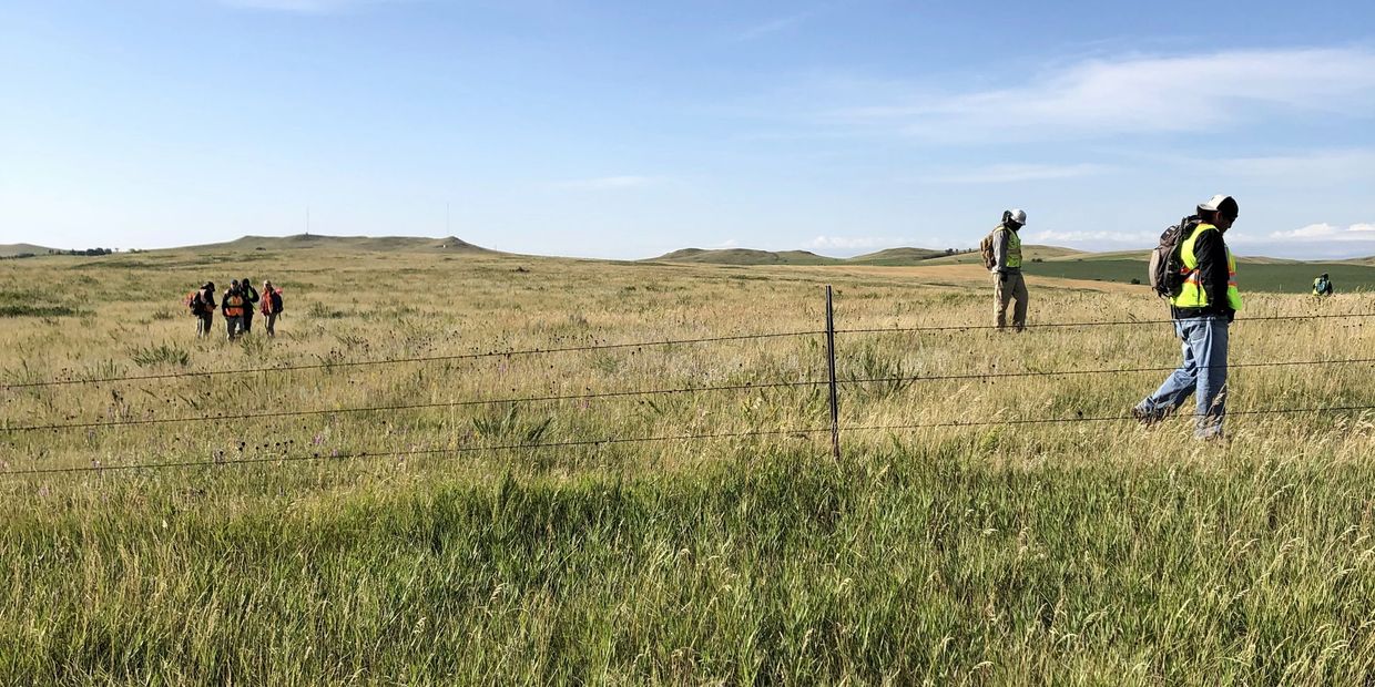Field walking in the prairie with First Nations