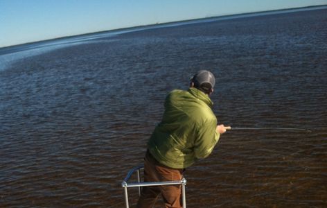 Fly Fishing for Redfish 