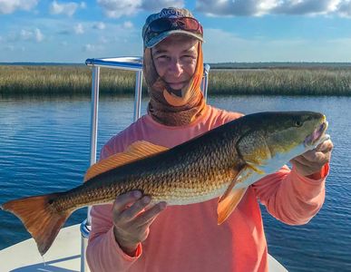Summer Redfish in Panama City Florida 