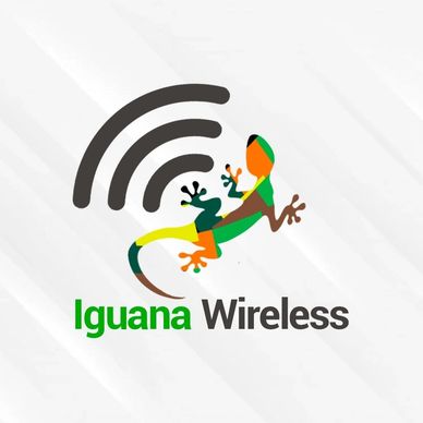 Colorful iguana with wireless signal symbol in logo for Iguana Wireless.