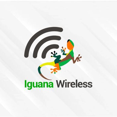 Colorful iguana with wireless signal symbol in logo for Iguana Wireless.