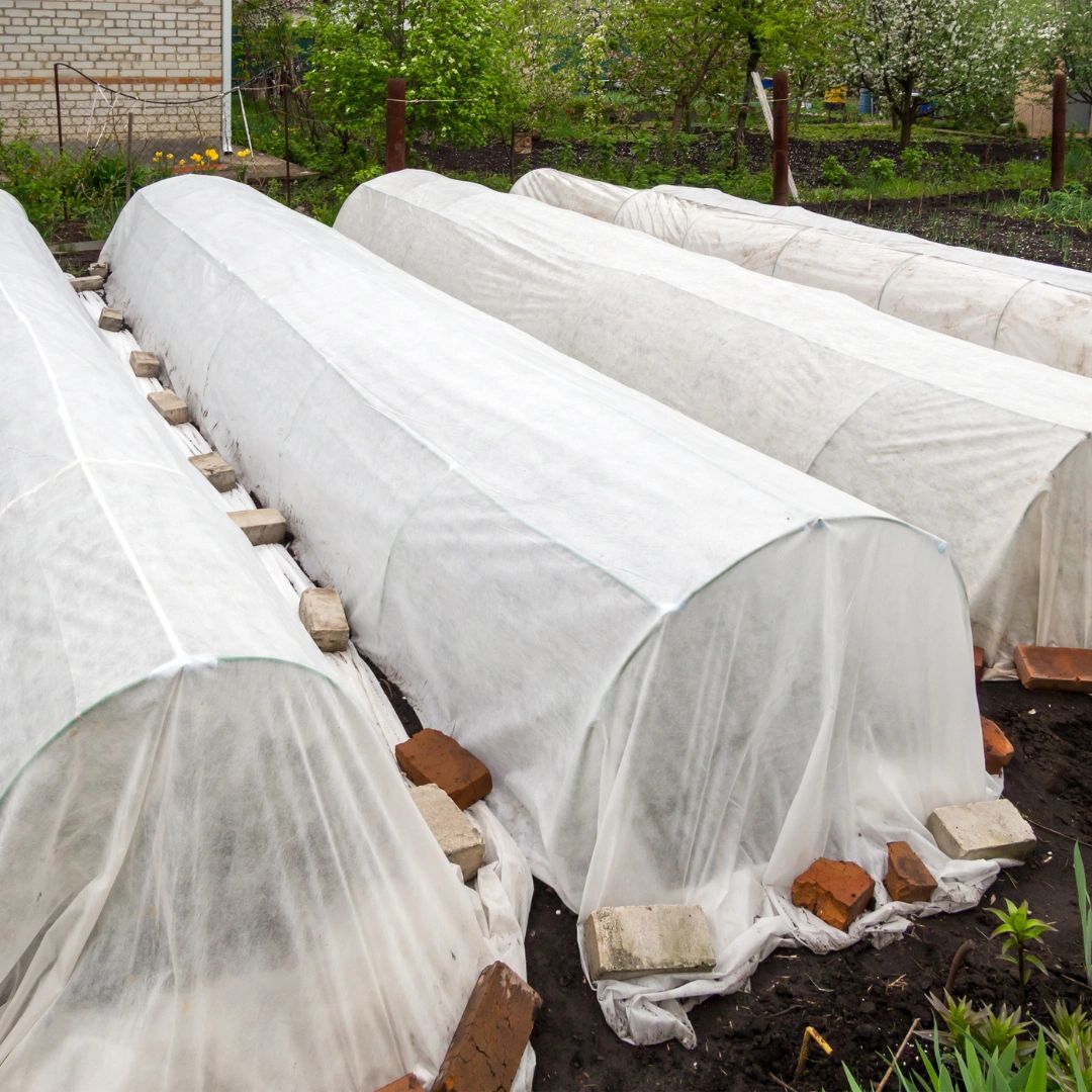 Frost Proof Your Garden A Quick Guide to Frost Blankets