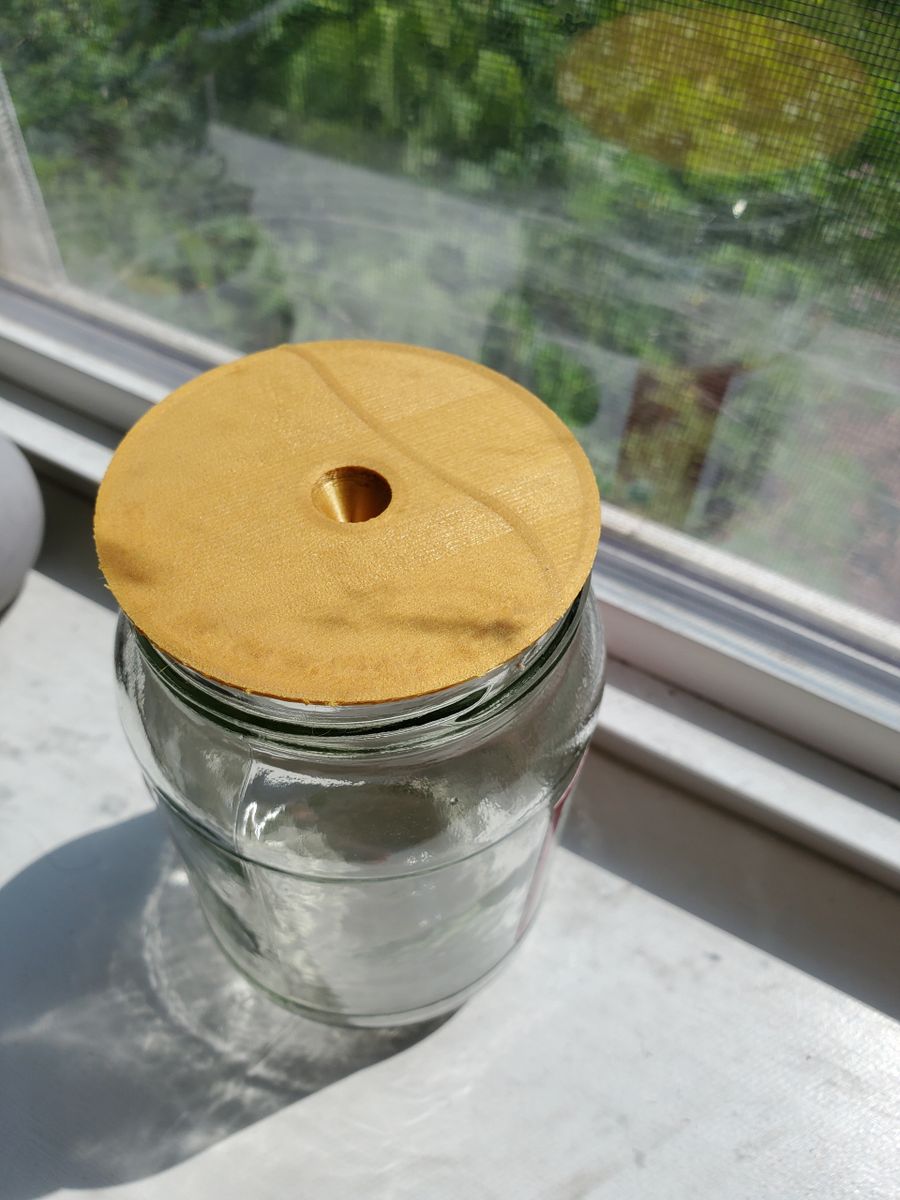 Fruit Fly Mason Jar Trap Lid