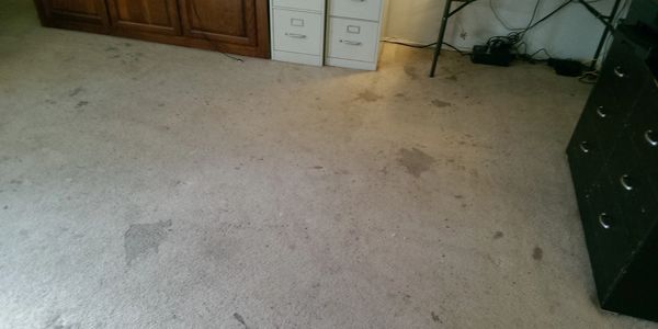 Before: Carpet Cleaning