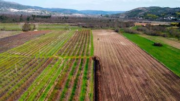 Aerial view of agricultural fields with various crop patterns.