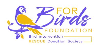 Logo of For Birds Foundation with a colorful parrot on a branch.