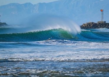 Dave Castro Photography wave and pelican