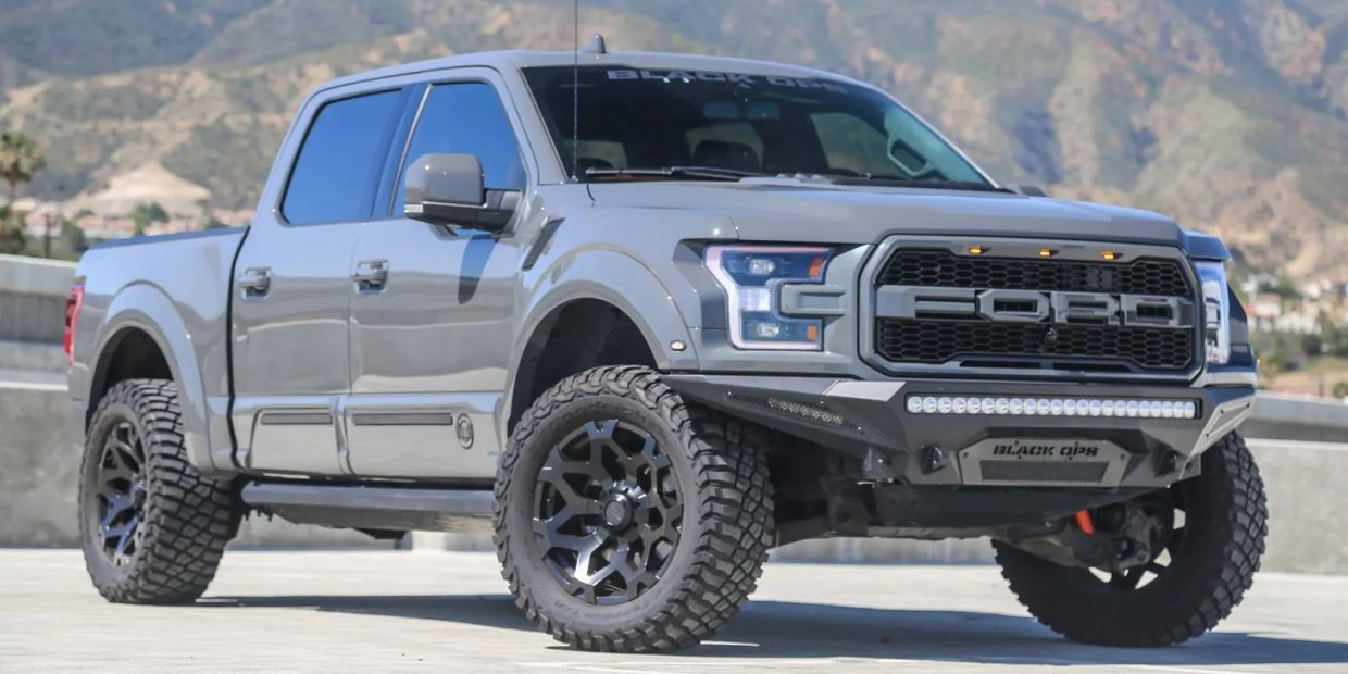 Gray Ford truck with rugged tires and black detailing.
