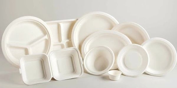 Variety of white disposable plates and containers arranged on a surface.