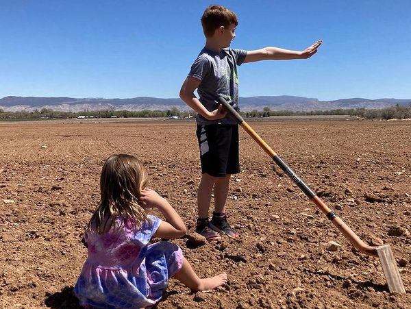 Junior CBD Farmers