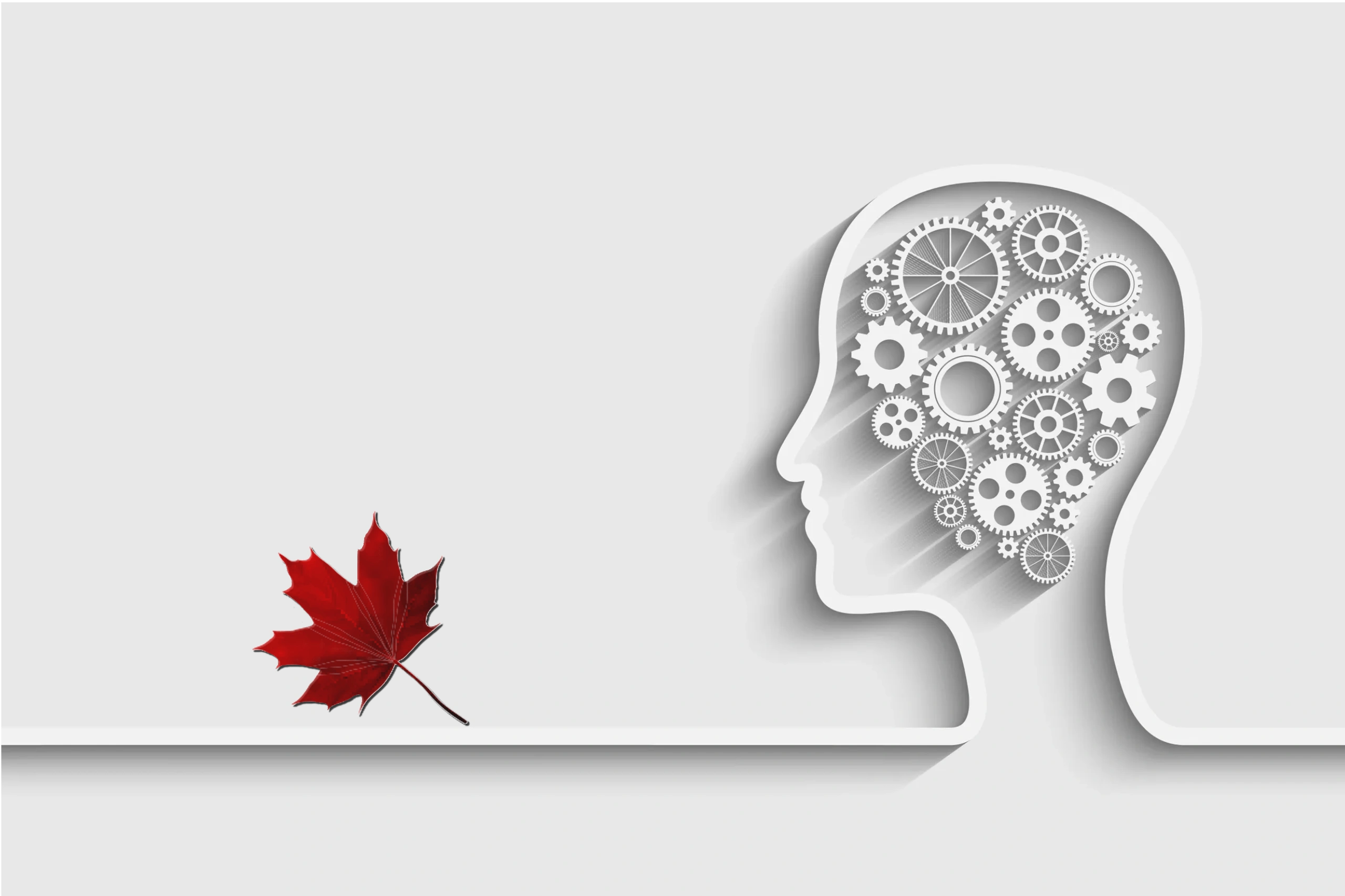 247ONSITEINC.CA Paint Equipment Repair, Commercial Equipment Repair