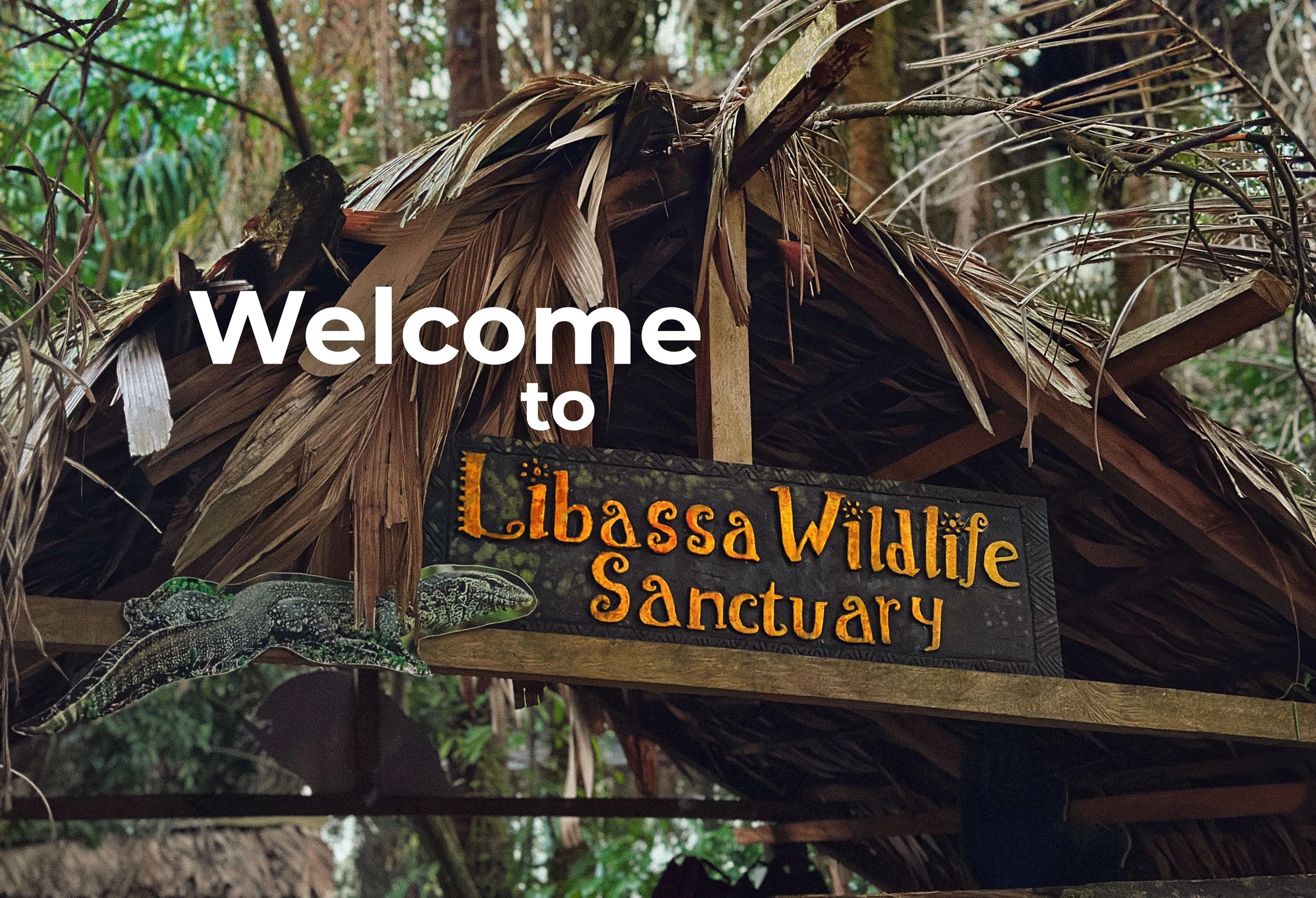 Libassa Wildlife Sanctuary - Wildlife Rescue & Conservation in Liberia