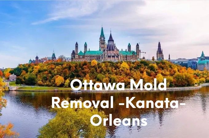 Ottawa Mold Removal - Kanata - Orleans 343-297-1733