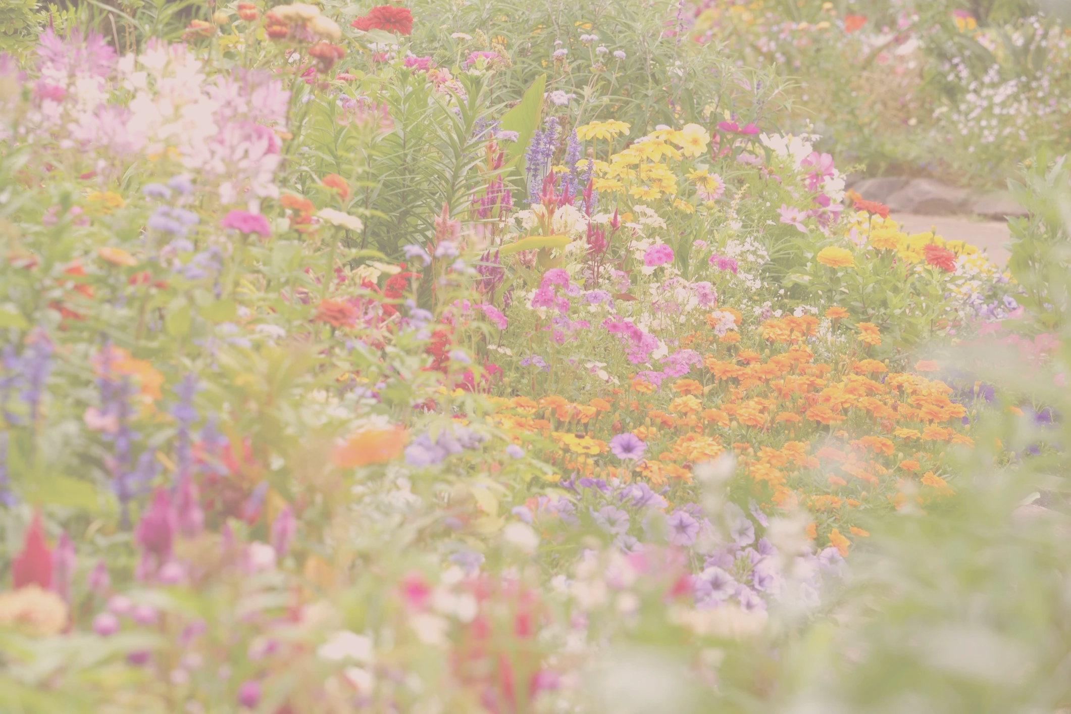 Right Way Landscaping & Lawn Maintenance profile image