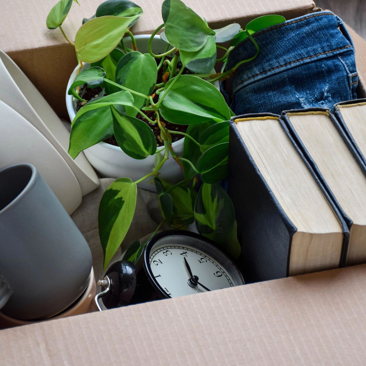 feature image of How to Time Your Move Like a Pro