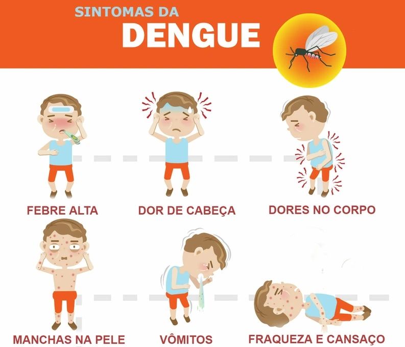 O Que De Dengue Leve