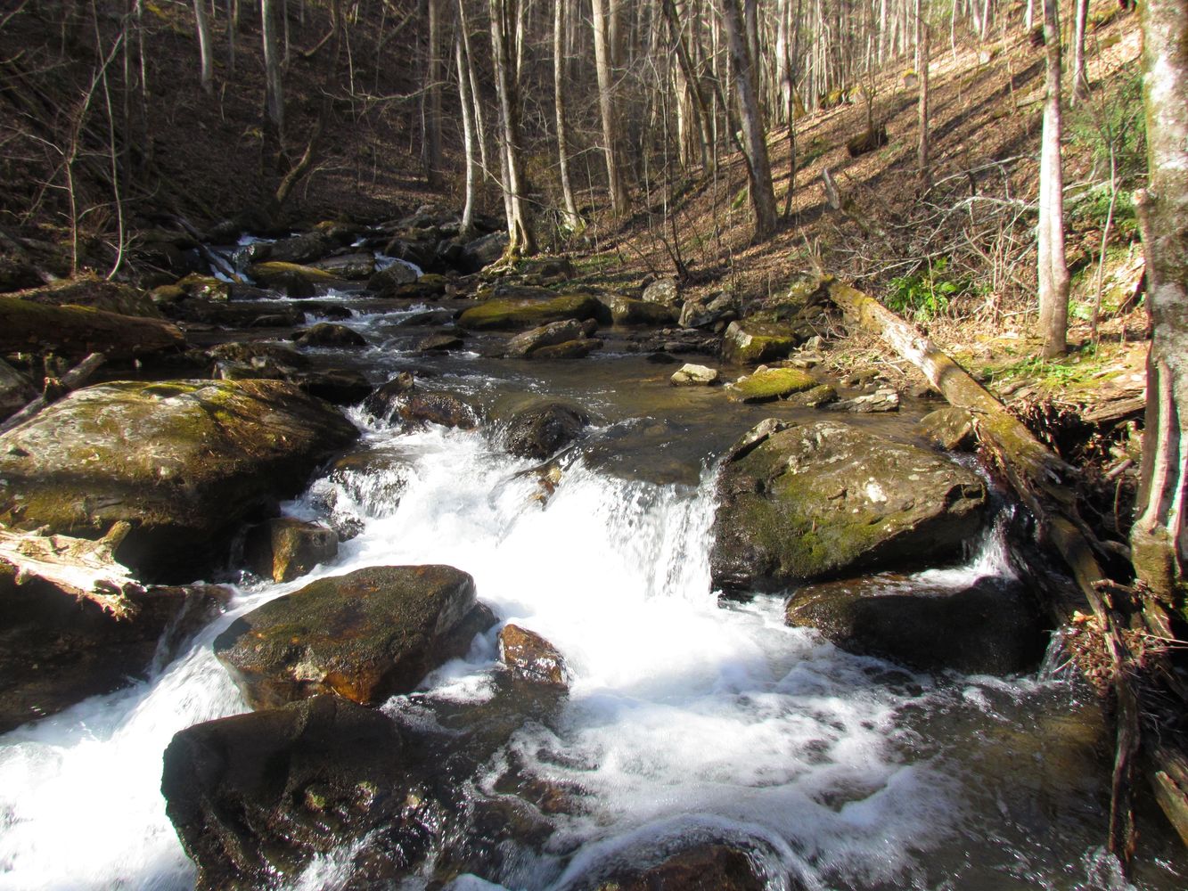 ONE OF MY FAVORITE PLACES TO UNWIND BECOME ONE WITH GOD'S CREATION. ANNA RUBY FALLS NEAR HELEN, GEOR