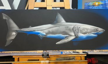 Surf Expo 2025
The Great White