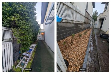 Before and after garden cleanup along a narrow pathway.