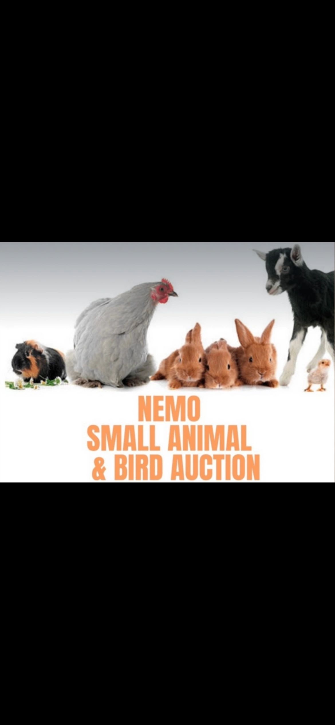 APRIL 13TH SMALL ANIMAL AUCTION