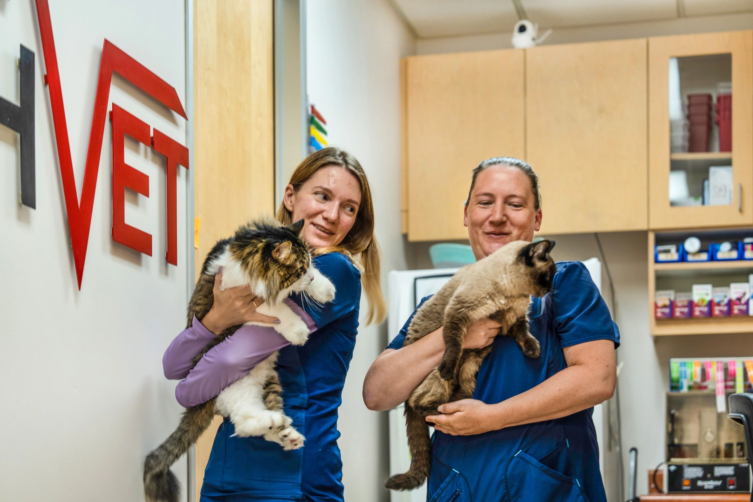 Archvet animal hospital and Urgent care Animal Hospital, Emergency