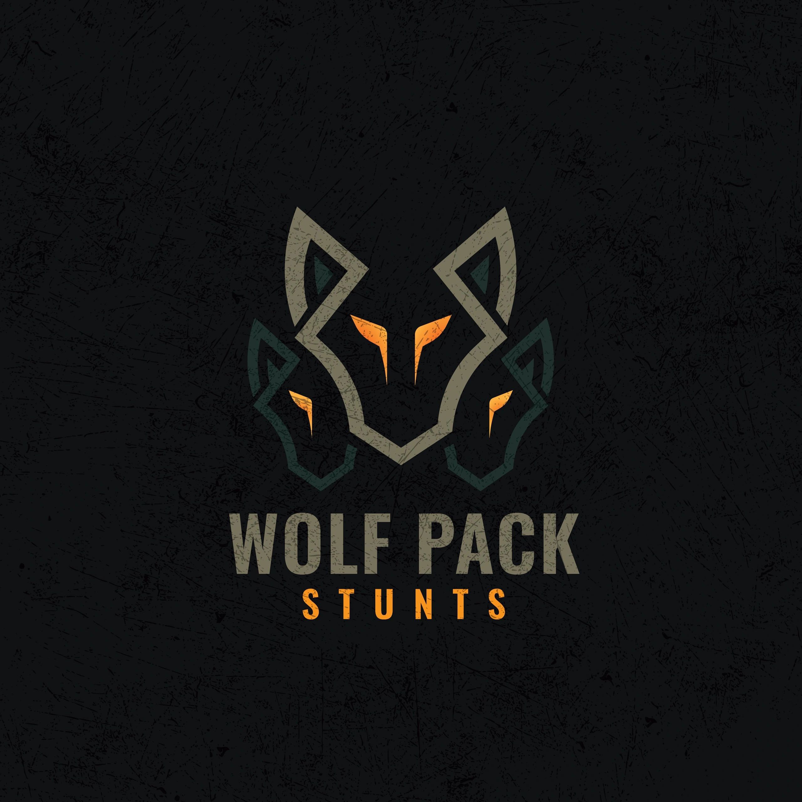 Expert Stunt Services by Wolf Pack Stunts