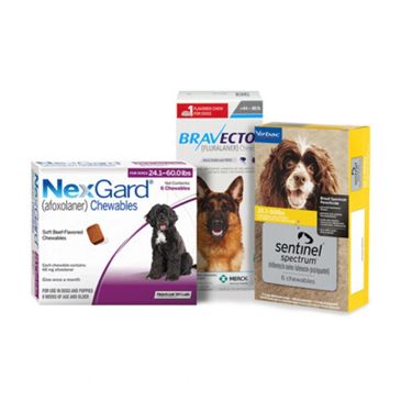 NexGard, Bravecto and Sentinel canine products