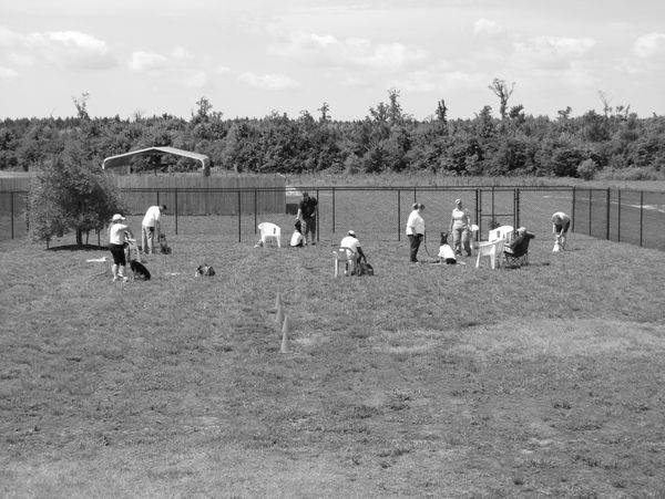 People standing and sitting with dogs in a large fenced grassy area.