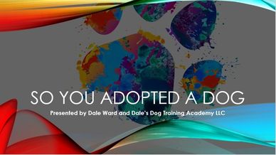 Large colorful painted pawprint with title "So You Adopted a Dog" in white lettering.