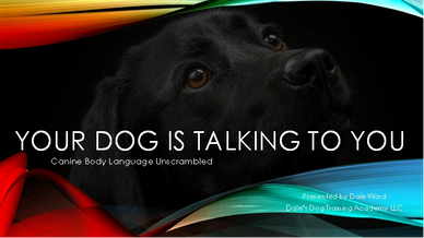 Black Labrador retriever head shot, white lettering "Your Dog is Talking to You."