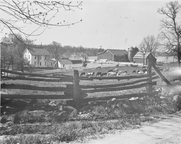 Farm house and barns pre 1950
